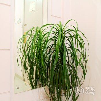 聊城东方之珠商务酒店(原便宜居-汽车总站店)酒店提供图片
