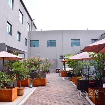 新泰五星假日酒店酒店提供图片