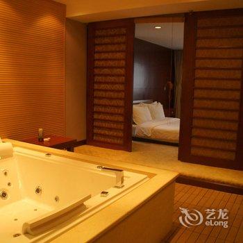 宁乡灰汤紫龙湾温泉国际大酒店酒店提供图片