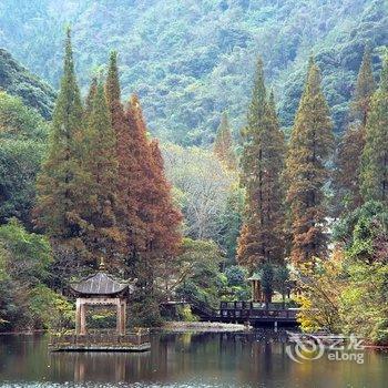 宁海新星宾馆酒店提供图片