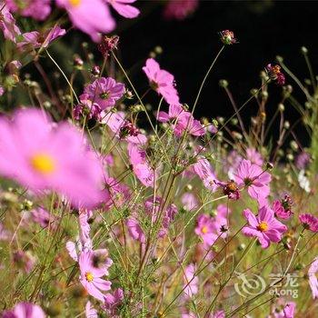 泸沽湖爱这生活逦水庄酒店提供图片