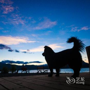 泸沽湖小雅鹿鸣轻奢度假客栈酒店提供图片