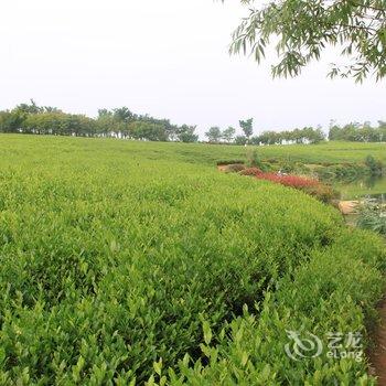 新昌绿城·雷迪森大酒店酒店提供图片