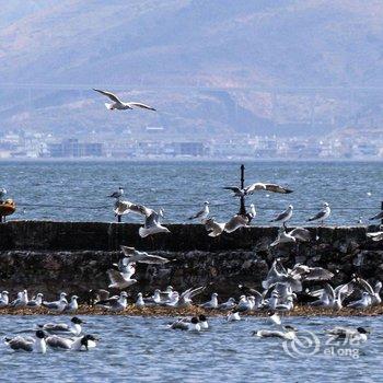 大理洱海安扬度假精品客栈酒店提供图片