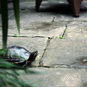 阆中李家大院酒店提供图片