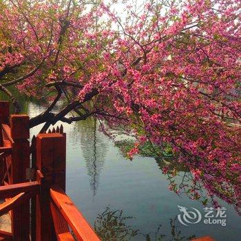 水韵庭院.乌镇精品临水花园客栈酒店提供图片