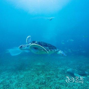 三亚华宇亚龙湾迎宾馆酒店提供图片