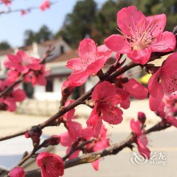 九华山玉宝山庄酒店提供图片