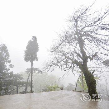 庐山天街别墅酒店提供图片