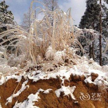 罗田薄刀峰凌云山庄酒店提供图片