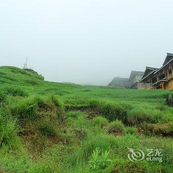 龙胜碧莲大酒店酒店提供图片