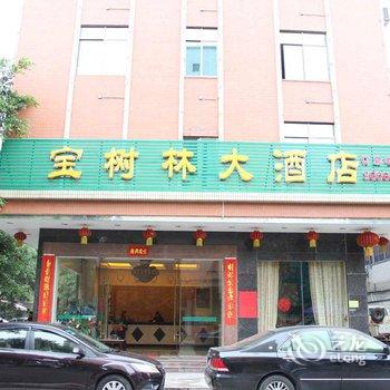 清远宝树林大酒店酒店提供图片