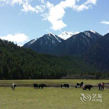 波密途駦岗美庄园酒店提供图片