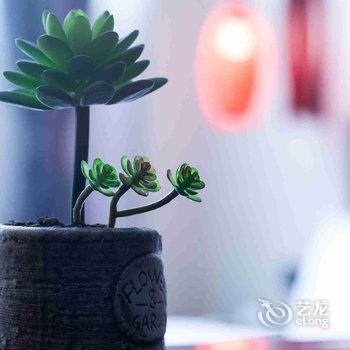 重庆千树花酒店酒店提供图片