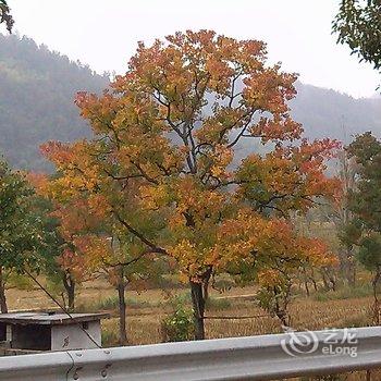 罗田天堂寨天玺山庄酒店提供图片