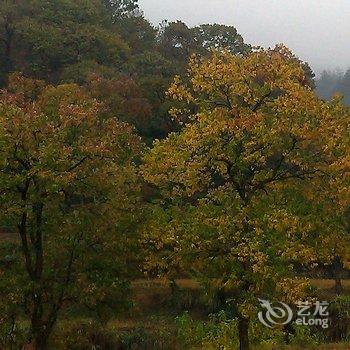 罗田天堂寨天玺山庄酒店提供图片