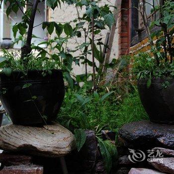 香格里拉烟雨阳光客栈酒店提供图片