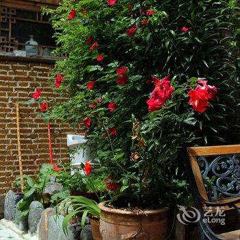 香格里拉烟雨阳光客栈酒店提供图片