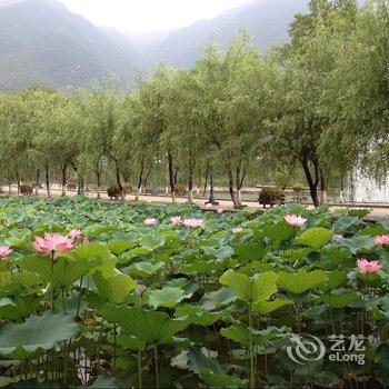 汕尾莲花山度假村酒店提供图片