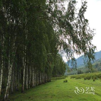 布尔津禾木悠山居客栈用户上传图片