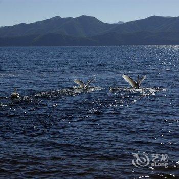 泸沽湖自在·情人树野奢连锁客栈酒店提供图片