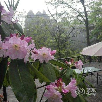 庐山花园别墅酒店酒店提供图片