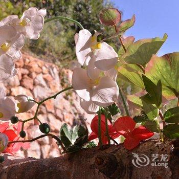 泸沽湖听花堂海景花园客栈(原大嘴窝窝客栈)酒店提供图片