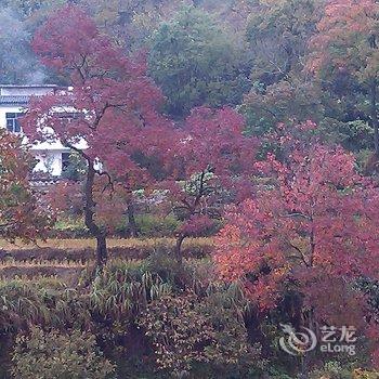 罗田天堂寨天玺山庄酒店提供图片