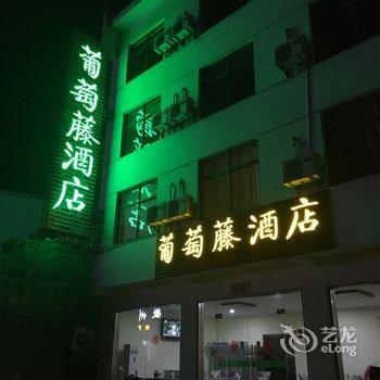 黄山葡萄藤酒店酒店提供图片