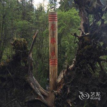 平武县隆达山庄用户上传图片