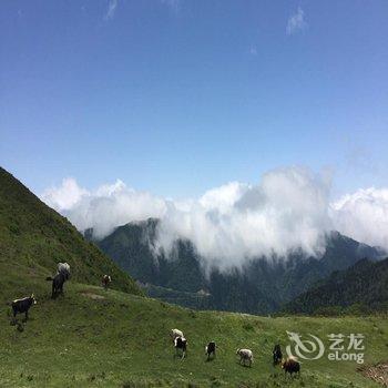 平武县隆达山庄用户上传图片