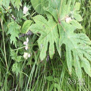 平武县隆达山庄用户上传图片