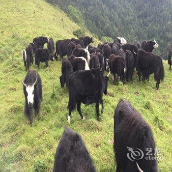 平武县隆达山庄用户上传图片