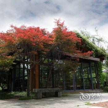 武夷山观景山房酒店提供图片