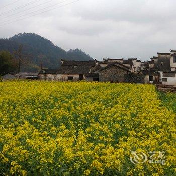 黄山西递景区昆仑国际青年旅舍酒店提供图片