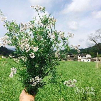 黄山西递景区昆仑国际青年旅舍酒店提供图片