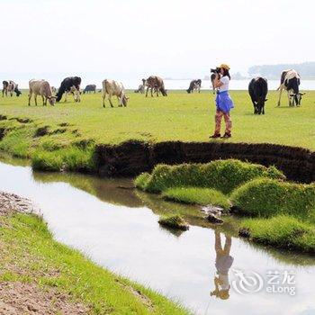 张北老兵农庄农家院酒店提供图片