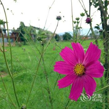 泸沽湖彭彭鲁和鲁西西客栈酒店提供图片