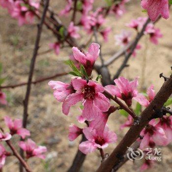 秦皇岛黄金海岸碧水湾度假村酒店提供图片