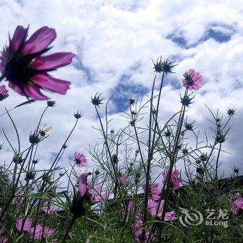 稻城彼岸花开客栈酒店提供图片