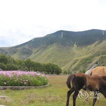 新都桥重庆渝晟花园酒店酒店提供图片