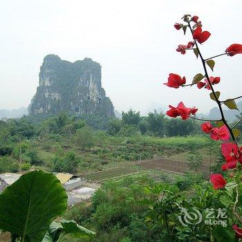 阳朔乡间别墅遇龙河畔酒店酒店提供图片