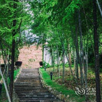 武夷山亿力大酒店酒店提供图片