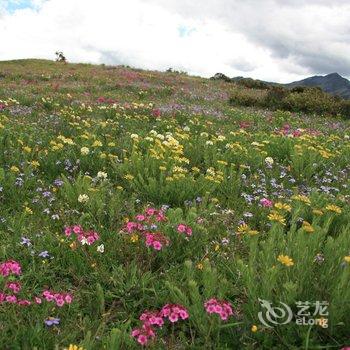 稻城藏巴拉客栈酒店提供图片