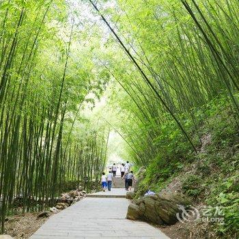 栾川重渡沟中心区竹里会馆酒店提供图片