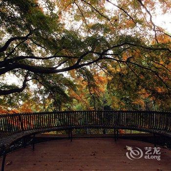 德清莫干山枫鹃谷别墅酒店提供图片