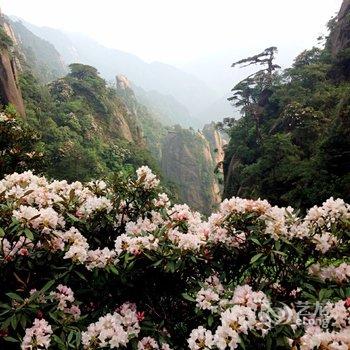 上饶三清山竹贤山庄酒店提供图片