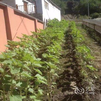 林芝波密悠游道木屋酒店酒店提供图片