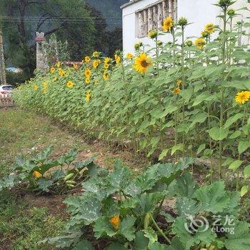 林芝波密悠游道木屋酒店酒店提供图片