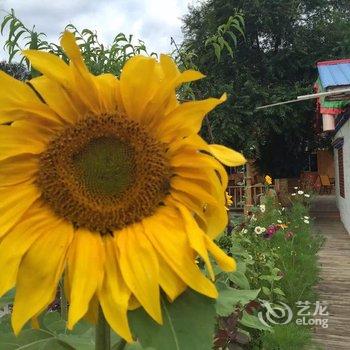 林芝波密悠游道木屋酒店酒店提供图片